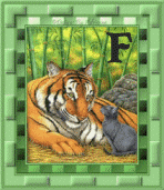 tigre-8845445555-6.gif