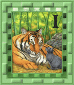 tigre-8845445555-9.gif