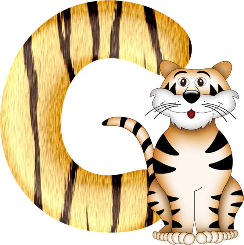 tigre-885449022-3.png