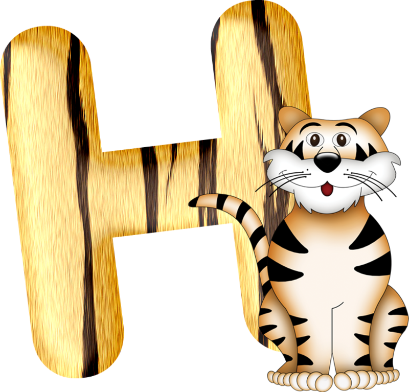 tigre-885449022-8.png