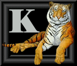 tigre-88884545-11.gif