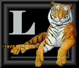 tigre-88884545-12.gif