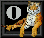 tigre-88884545-15.gif