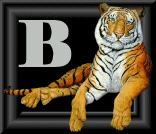 tigre-88884545-2.gif