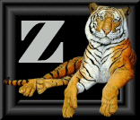 tigre-88884545-26.gif