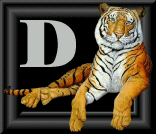 tigre-88884545-4.gif