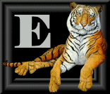 tigre-88884545-5.gif