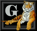 tigre-88884545-7.gif