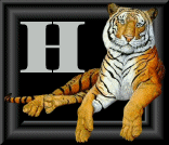 tigre-88884545-8.gif