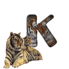 tigre-909765-11.gif