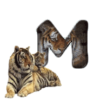 tigre-909765-13.gif