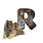 tigre-909765-18.gif