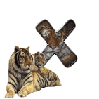 tigre-909765-24.gif