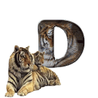 tigre-909765-4.gif