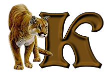 tigre-9232200555-11.png