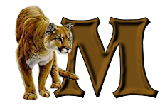 tigre-9232200555-13.png