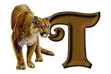 tigre-9232200555-20.png