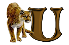 tigre-9232200555-21.png