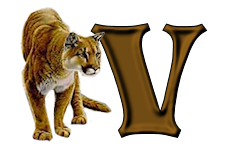 tigre-9232200555-22.png