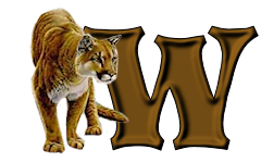 tigre-9232200555-23.png