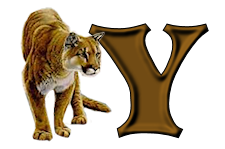 tigre-9232200555-25.png