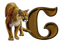 tigre-9232200555-3.png