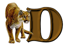 tigre-9232200555-4.png