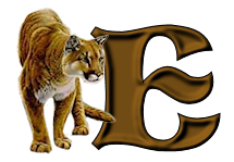 tigre-9232200555-5.png