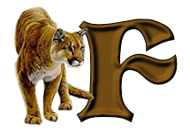 tigre-9232200555-6.png