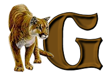 tigre-9232200555-7.png