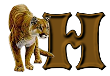 tigre-9232200555-8.png