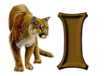 tigre-9232200555-9.png