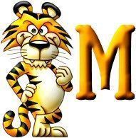 tigre-999-13.jpg