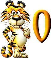 tigre-999-15.jpg