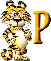 tigre-999-16.jpg