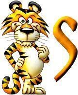 tigre-999-19.jpg