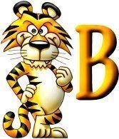 tigre-999-2.jpg