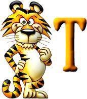 tigre-999-20.jpg