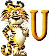 tigre-999-21.jpg