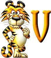 tigre-999-22.jpg