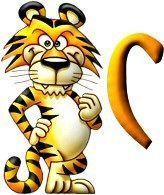 tigre-999-3.jpg