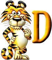 tigre-999-4.jpg