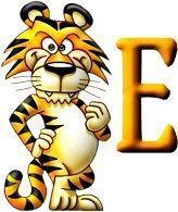 tigre-999-5.jpg