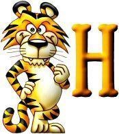 tigre-999-8.jpg