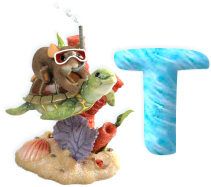 toortuue-232000-20.jpg