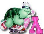 ttttortue-85757-1.jpg