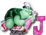 ttttortue-85757-10.jpg