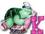 ttttortue-85757-11.jpg