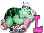 ttttortue-85757-12.jpg