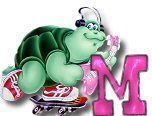 ttttortue-85757-13.jpg